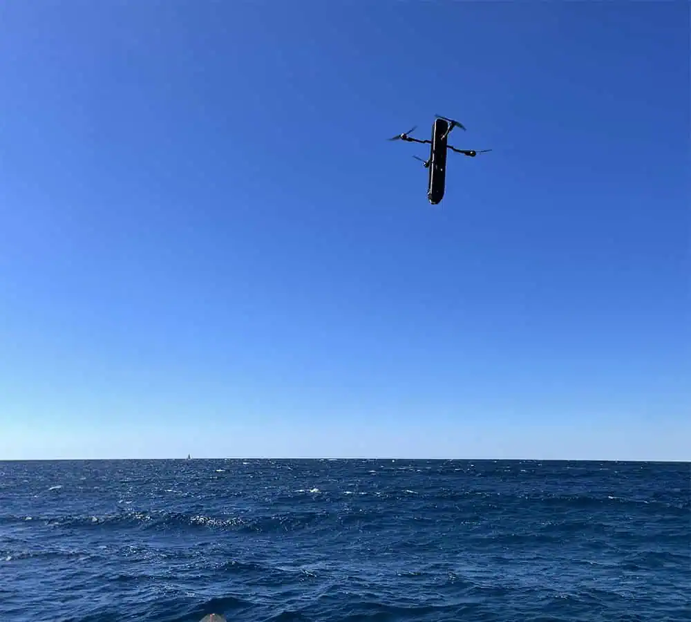 black bird uav launcher for submarines.webp