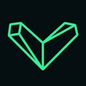 vizgard logo 300x300