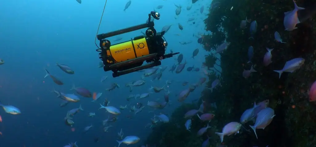 Cinematography Underwater ROV