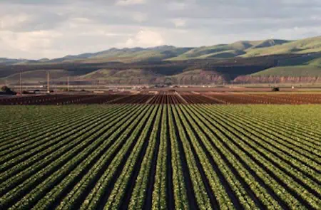 precision agriculture
