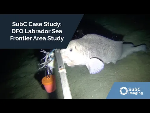 SubC Case Study: DFO Labrador Sea Frontier Area Study