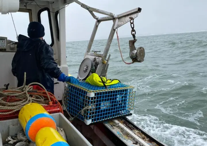 Innovative Acoustic Trigger Technology Enhances Sustainable Fishing Practices