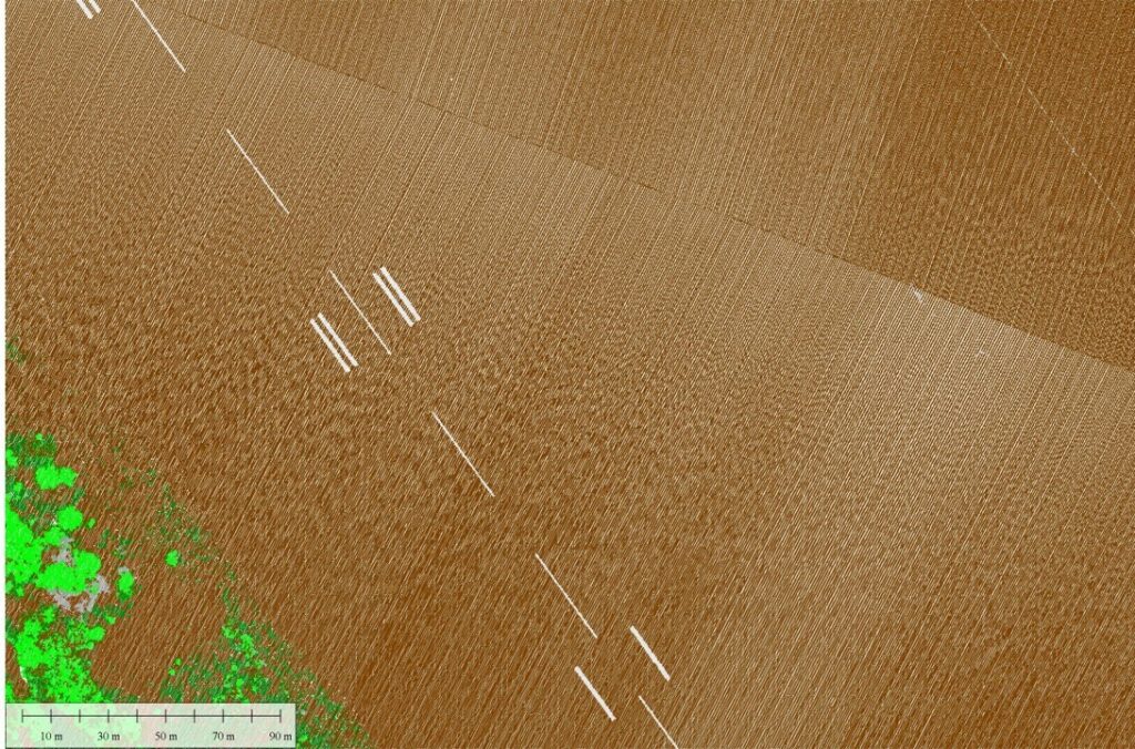 The white paint lines are now a subclassification of the ground. They are functionally the same class but still distinguishable in visualization and analysis.