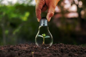 Plant growing inside a lightbulb in soil