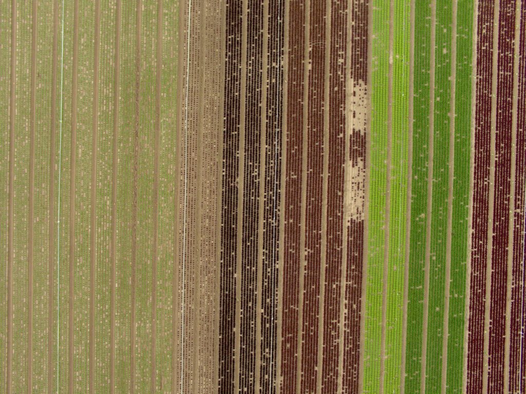 Closeup view from the 20 MP RGB camera on the 6X Multispectral