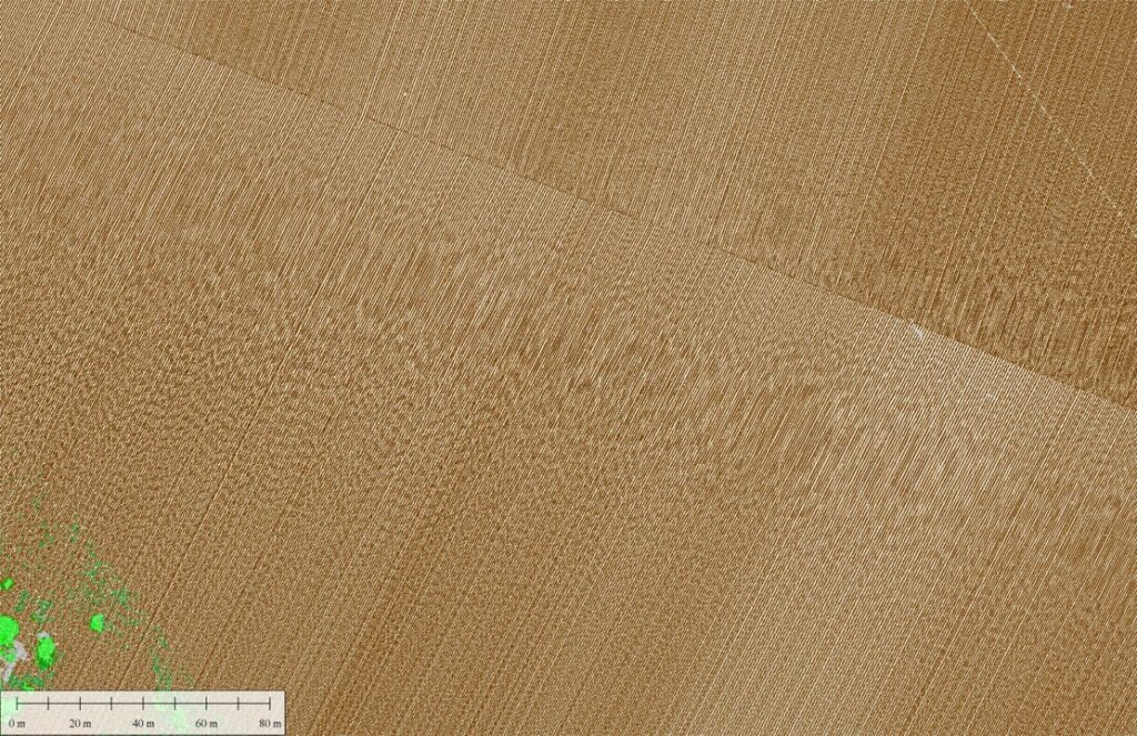 Use the automatic classification tools first to exclude any irrelevant points from processing, such as the vegetation pictured here.