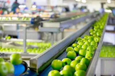 Apples Being Graded in Fruit Processing And Packaging Plant